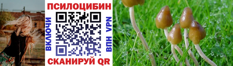 цены   Ярославль  Галлюциногенные грибы Cubensis 